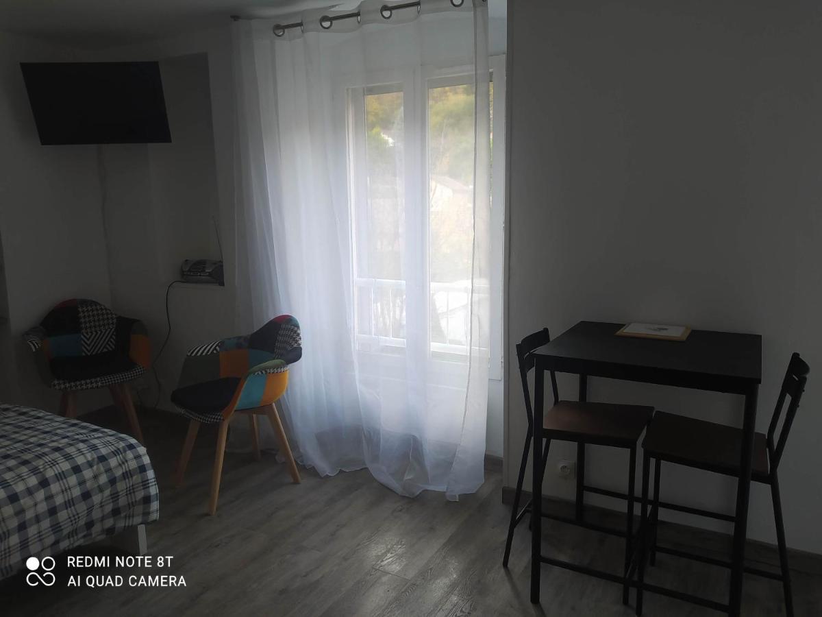Joli Studio Au Centre D'Uriage Vaulnaveys-le-Haut Eksteriør billede